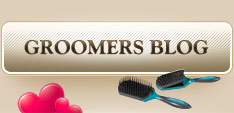 GROOMERS BLOG