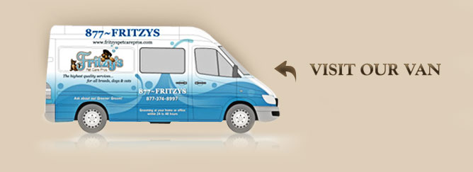 Visit Our Van